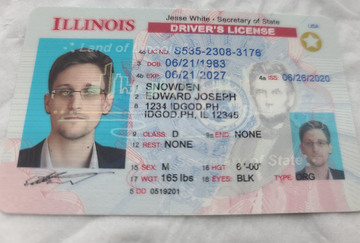 Illinois Fake ID