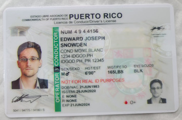 Puerto Rico Fake ID